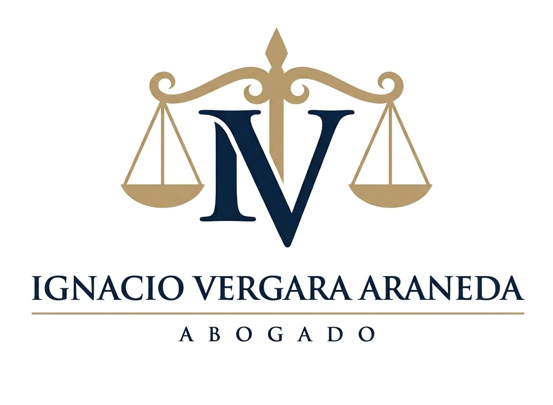 Ignacio Vergara Araneda - Abogado